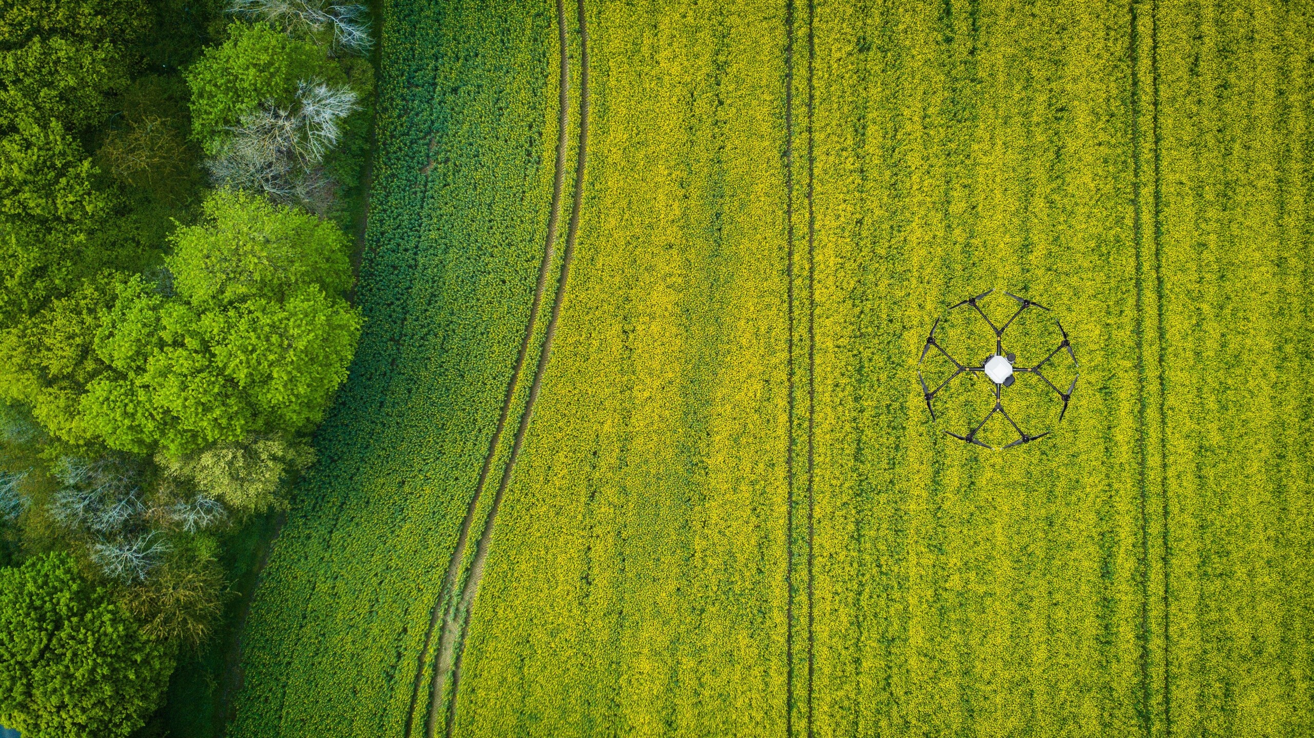 Agricoltura 5.0 drone